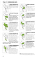 Field Guide to the Mammals of South-East Asia - 2. ed. Charles M. Francis 2019